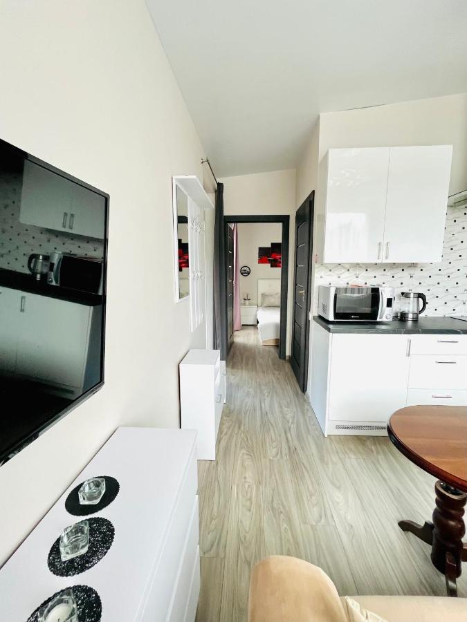 Appartement Royal Resident à Druskininkai Extérieur photo